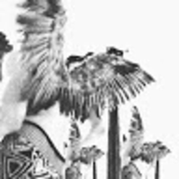 Meet your Posher, Keith - Picture 1 of 1